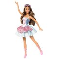 Barbie as the Princess and The Pauper: Erika doll and Book Giftset - barbie-movies photo