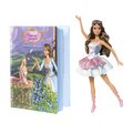 Barbie as the Princess and The Pauper: Erika doll and Book Giftset - barbie-movies photo