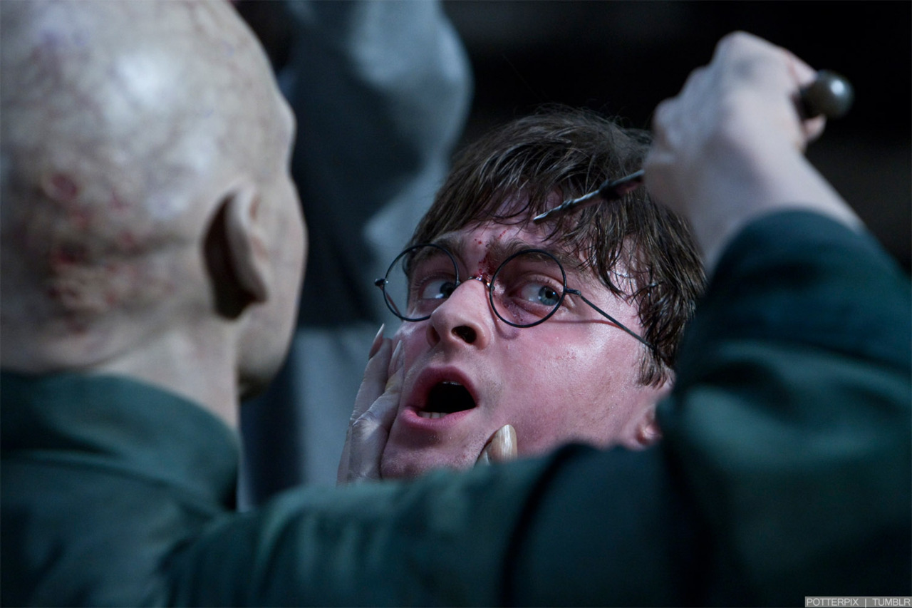 download harry potter deathly hallows 2