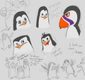Penguins sketch dump - penguins-of-madagascar fan art