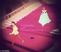 Prince/Princess Switched Roles - Cinderella/Prince Charming - disney-princess photo