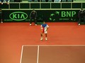 Radek Stepanek is a patriot - tennis photo