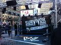 WWE at Madison Square Garden - wwe photo