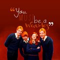 Weasleys forever - harry-potter photo