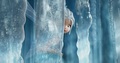 disney-leading-ladies - Winter fairy screencap