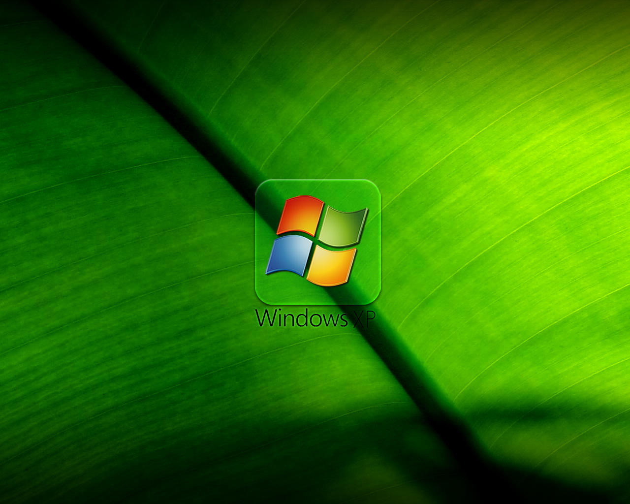 Windows XP Desktop Wallpaper 41 pictures
