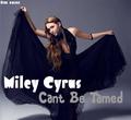 "Can't Be Tamed" Fanmade cover - miley-cyrus photo