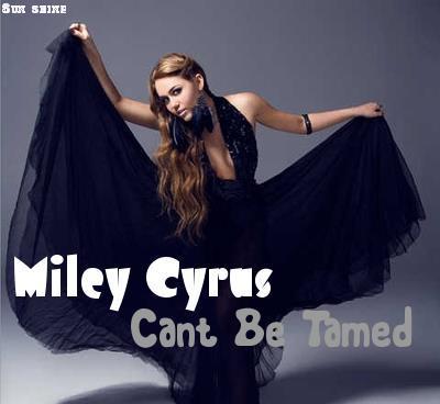 "Can't Be Tamed" Fanmade cover