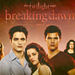 Breaking Dawn - twilight-series icon