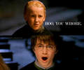 Draco is the best - harry-potter photo