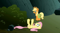 my-little-pony-friendship-is-magic - Fluttershy faint screencap