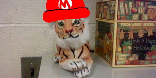  Mario tiger