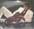 Michael and a cute little tiger - michael-jackson photo