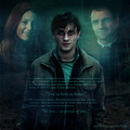 You've Been So Brave - harry-potter photo