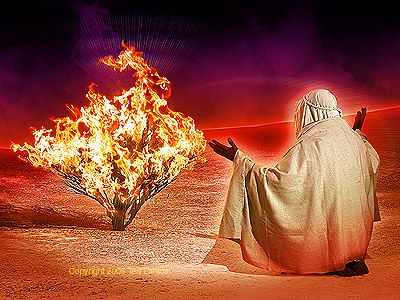 The End of the Twins Cycle - Page 5 Moses-and-the-burning-bush-the-bible-27076046-400-300