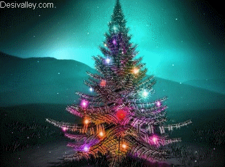 A Beautiful Christmas arbre For Lily ♥