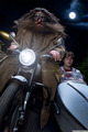 Deathly Hallows Part 1 Movie Still - harry-potter photo