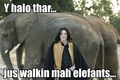 Michael walking his elephants!  - michael-jackson-funny-moments photo