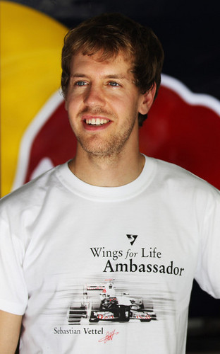  S. Vettel (Brazilian GP)