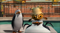 Skipper, it seems you've gained some weight - penguins-of-madagascar screencap