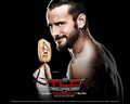 wwe - WWE TLC:Tables,Ladders,and Chairs wallpaper