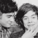 Zayn and Harry  - one-direction icon