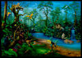 fantasy rain forest - fantasy photo
