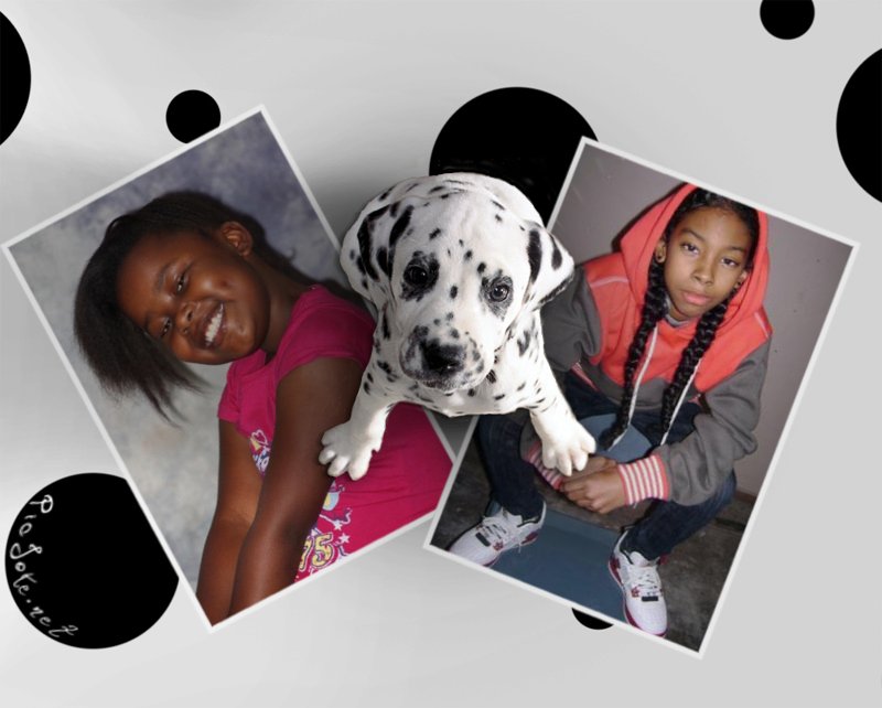  - me-ray-and-our-pet-ray-ray-mindless-behavior-27131383-800-642