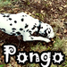 Pongo - once-upon-a-time icon