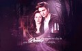edward-and-bella - Edward and Bella wallpaper