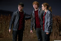 Harry Potter and the Deathly Hallows - Promotional Stills - emma-watson photo