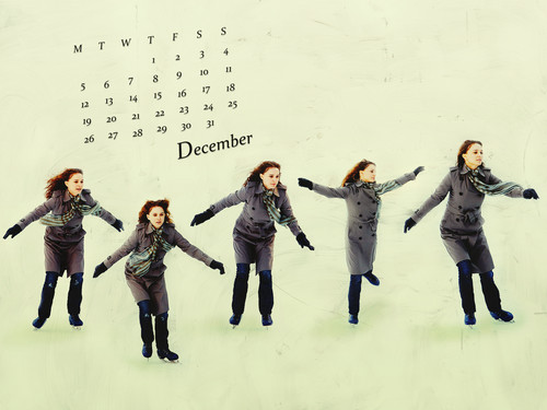 NP.COM Calendar - December