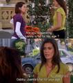 Quotes :) - desperate-housewives photo