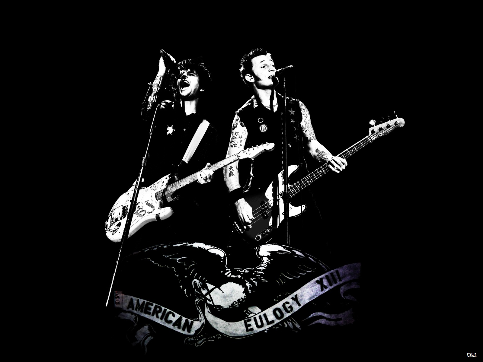 Green Day Billie Joe Armstrong Black and White