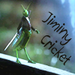 Jiminy Cricket - once-upon-a-time icon