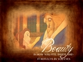 Beauty and the Beast <3 - disney-princess fan art