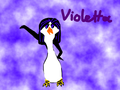 Violetta the penguin - fans-of-pom photo