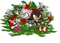 .In_The_Flowers-ShadAmy. - sonic-the-hedgehog fan art