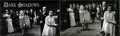 1967 Dark Shadows Cast Photo - dark-shadows photo