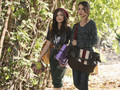 Aria and Spencer - pretty-little-liars-tv-show photo
