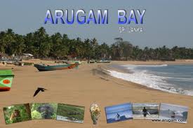  Arugam 湾