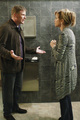 Desperate Housewives Putting It Together Season 8 Episode 9 - desperate-housewives photo