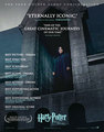 FYC Harry Potter - harry-potter photo