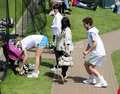 Murray looking at Lucie Safarova ass - andy-murray photo