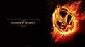 The Hunger Games Movie - the-hunger-games-movie photo