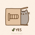Things your cat wants for Christmas - pusheen-the-cat photo