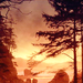 Beaking Dawn Part 1 - twilight-series icon