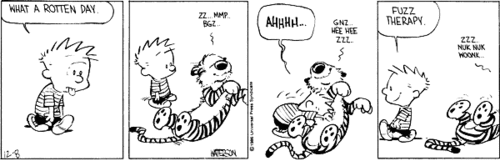 Calvin & Hobbes Comic Strips - Calvin & Hobbes Photo (27569869) - Fanpop