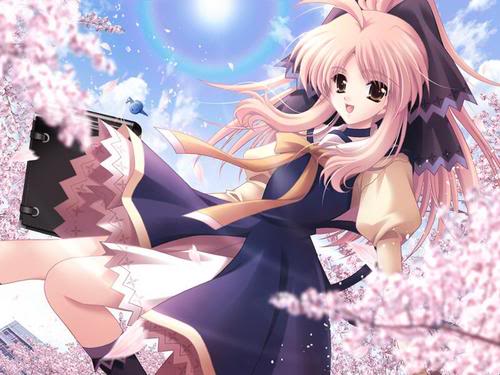  ceri, cherry Blossom anime Pics