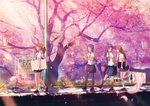  ceri, cherry Blossom anime Pics